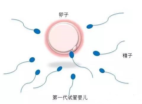 代怀选性别包生男孩代生医院